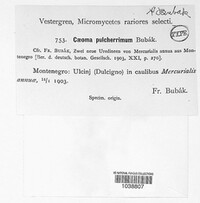 Image Associated With the Occurrence